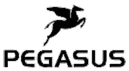 Pegasus_15427