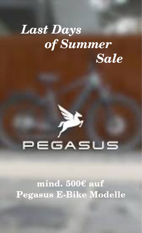 Pegasus-Aktion